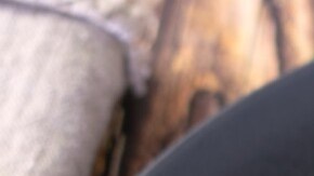 Lasaña de berenjenas y ricotta