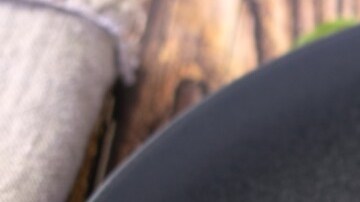 Lasaña de berenjenas y ricotta