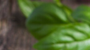 espaguetis con albondigas