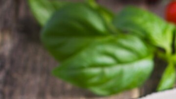 espaguetis con albondigas