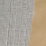 pollo en salsa de mango