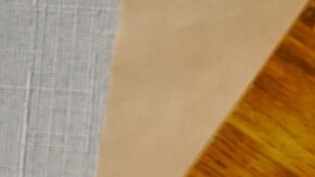 pollo en salsa de mango