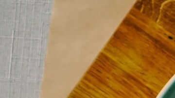 pollo en salsa de mango