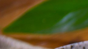 sopa de puchero de pollo