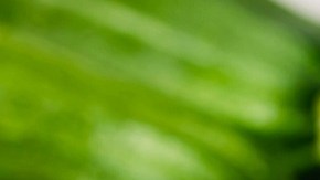 Calabacines rellenos de pavo