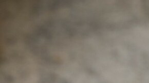 Crema de cebolla y queso