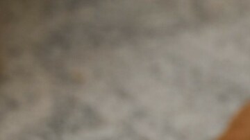 Crema de cebolla y queso