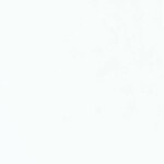 Pasta salteada con crema