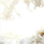 plato con chili de pavo