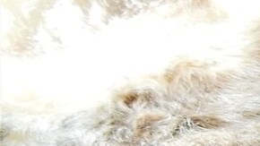 plato con chili de pavo