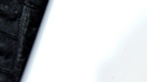 Pollo relleno de manzanas caramelizadas y nueces