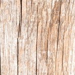 salsa boloñesa de pavo