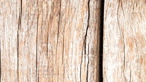 salsa boloñesa de pavo