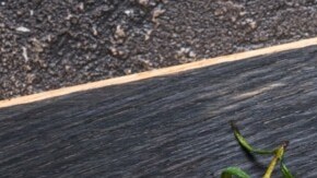 Pechuga de pollo con salsa tzatziki