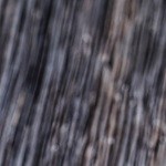 brochetas de camarones