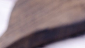 Canelones rellenos de pavo en salsa de tomate