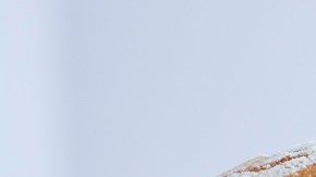 Sandwich de pulled chicken al estilo BBQ