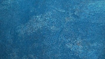 relleno de pavo y hierbas