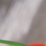 pollo relleno de champiñones y ajo cremoso