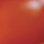 berenjenas rellenas de pavo