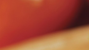 berenjenas rellenas de pavo