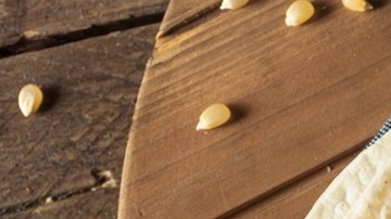 tortillas de harina de arroz