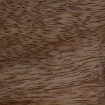 tortillas de harina de almendras