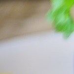 Brochetas de verduras