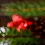 pavo al horno estilo mediterráneo