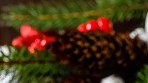 pavo al horno estilo mediterráneo