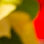 Lomo de cerdo glaseado