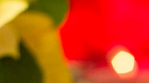 Lomo de cerdo glaseado