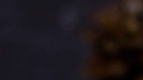 postre de manzana y yogurt