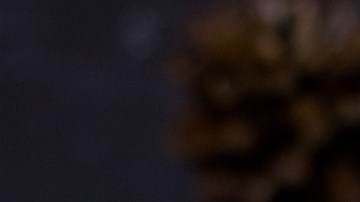 postre de manzana y yogurt