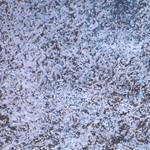 ensalada de pavo y manzana