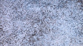 ensalada de pavo y manzana