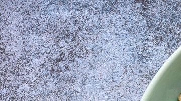 ensalada de pavo y manzana