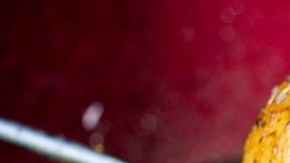 pavo a la brasa peruano