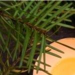 alfajores navideños