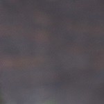 trufas de chocolate y menta