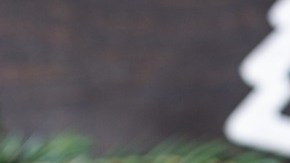 trufas de chocolate y menta