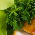 pavo en salsa de arándanos