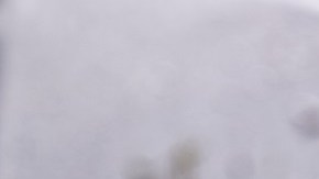 brochetas de pescado