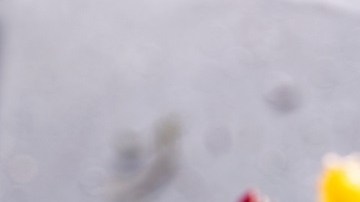 brochetas de pescado