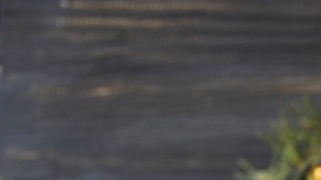 Pavo al Horno con Hierbas Provenzales