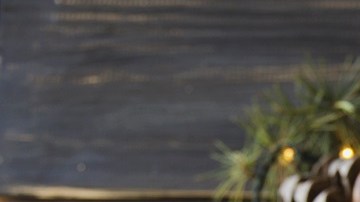 Pavo al Horno con Hierbas Provenzales