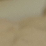 vitel toné argentino