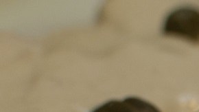 vitel toné argentino