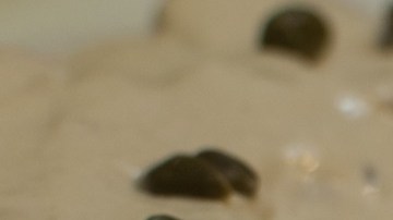 vitel toné argentino