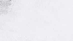 Crédito: Shutterstock.